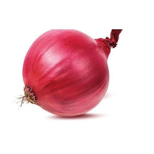 Ellora (Summer Season) — Yogesh Onion Seeds