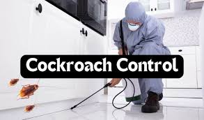 Pest Control Services — Royal Pest Control